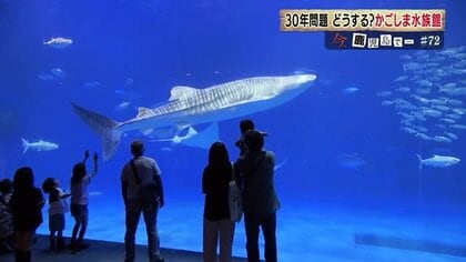 迫り来る「30年問題」…“リニューアル”でさらに魅力のある施設に かごしま水族館の選んだ道