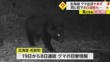 寺の敷地にも…“8日連続”でクマ出没した町　札幌市の住宅街には“親子グマ”３頭　北海道でクマの出没やまず
