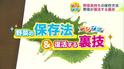 野菜の保存法＆復活させる“裏技”をご紹介！レタス・もやし・大葉―キーアイテムは“爪楊枝”【ラクカジ】