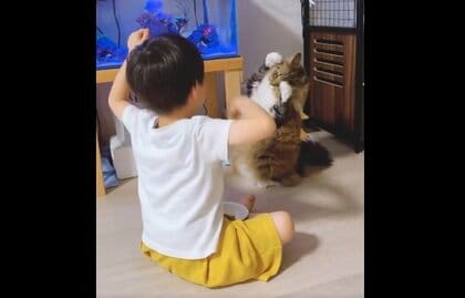 動きを「完コピ」？5歳猫が3歳息子と同じポーズで息ぴったり…どれくらい練習したのか母親に聞いた