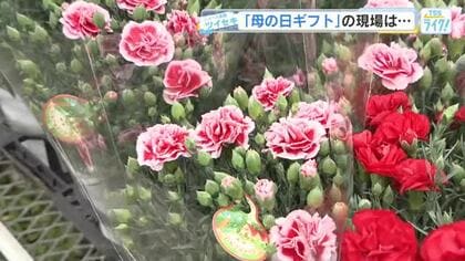 【母の日ギフト】６割以上が「花・菓子・日傘」などの定番もの！江田島市のカーネーション農園をツイセキ！