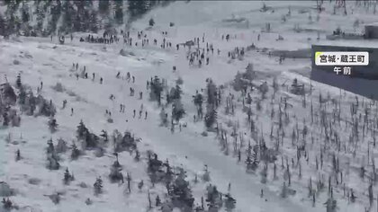 【消えた樹氷】「1個もない」異例の暖かさで観光客からは嘆きの声も…札幌・東京など各地で異変