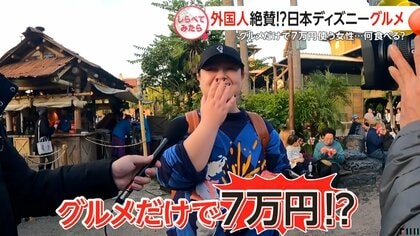 外国人は何を絶賛？日本のディズニーリゾート【しらべてみたら】