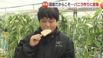 出荷農家わずか5戸「国産バニラビーンズ」天日乾燥で引き出される芳醇