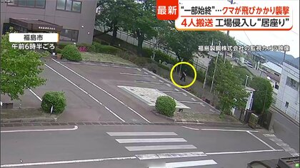 工場を次々と襲うクマ 敷地内に居座る 男性逃げ惑い引き倒される 専門