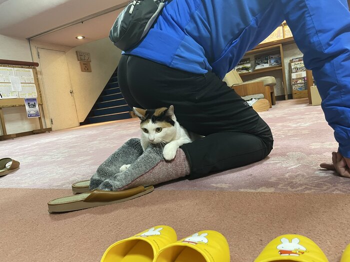 お客さんのかかとに密着
