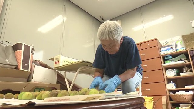 作物を育てる事で生きていくための場所だと再認識