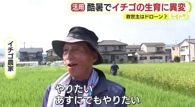 見学していたイチゴ農家