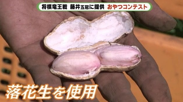 開発した肥料で育てた落花生