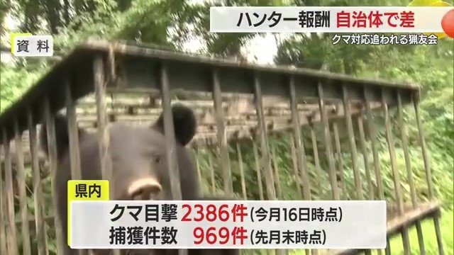 山形県内での目撃件数2300件超え・1000件に迫る捕獲数は過去最多