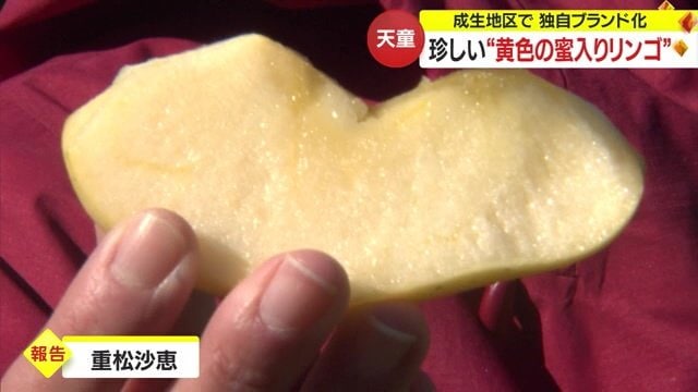 蜜がたっぷりの「プリンセスはるか」を特別に試食