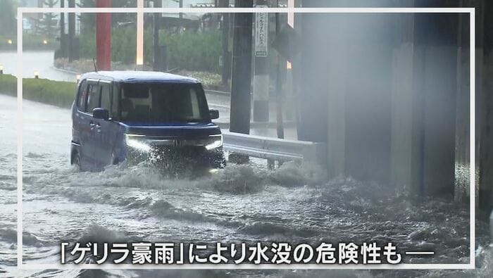 資料