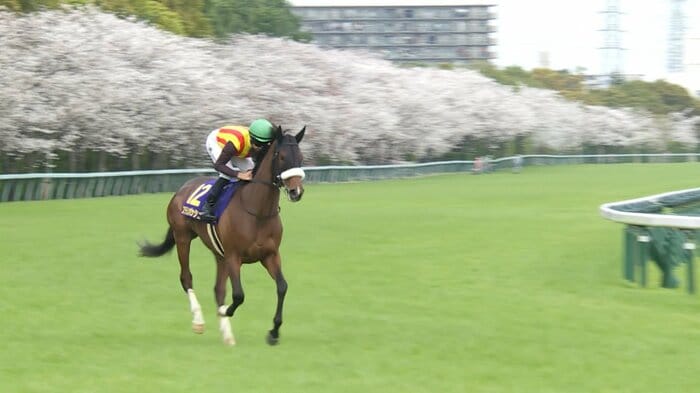 2024年 桜花賞・GⅠを制したステレンボッシュ