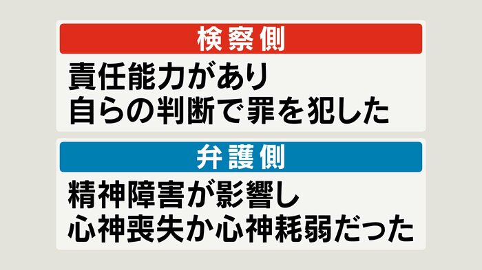 検察側、弁護側の主張 水野教授の見立て