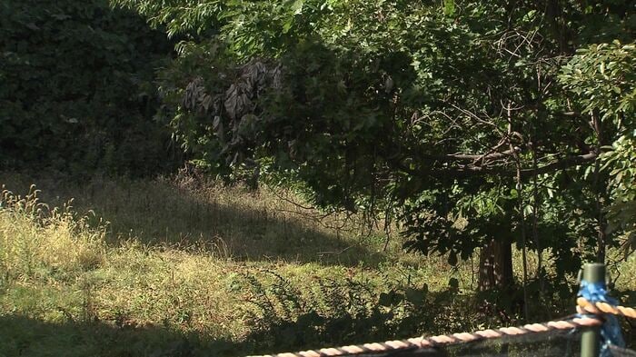クマが出没した現場(札幌市西区)