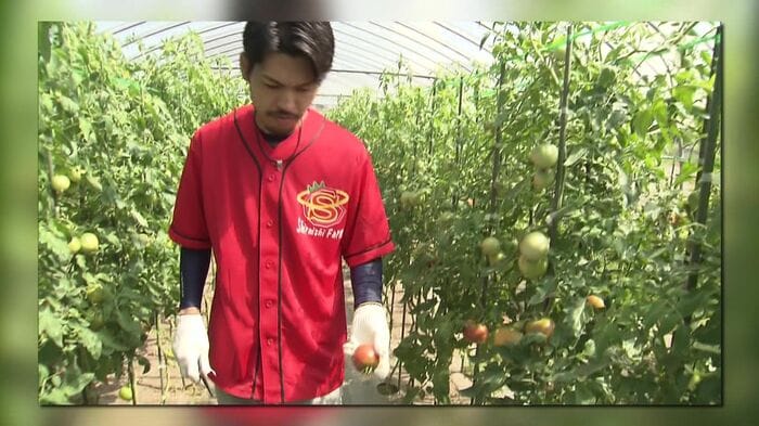 苗植えの時期は燃料消費が増大するという