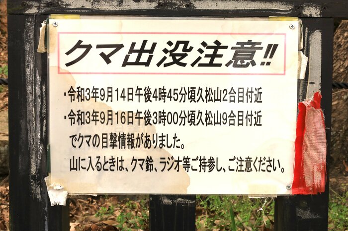 見かけることが増えたクマ出没注意の張り紙（イメージ）