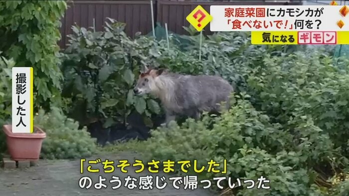 (FNN投稿サイト「ビデオPost」)