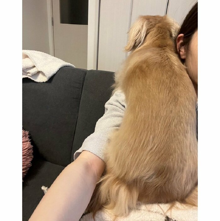 雷を聞いて飼い主さんの肩の上に避難