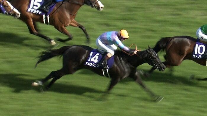 高松宮記念3年連続2着のナムラクレア