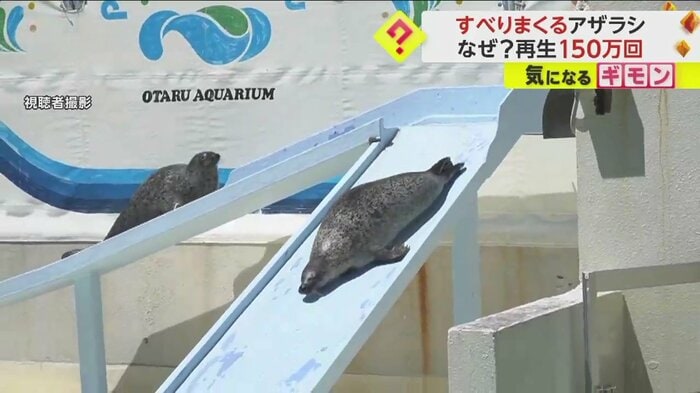 スーッとすべり降りる
