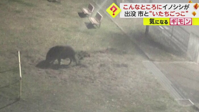 匂いを嗅いでる?