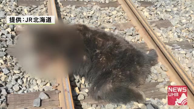 「動物に衝突した」列車の運転士から連絡…一夜明け