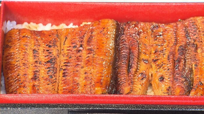 うなぎ蒲焼「安くなるかも」 まもなく丑の日 稚魚半値に