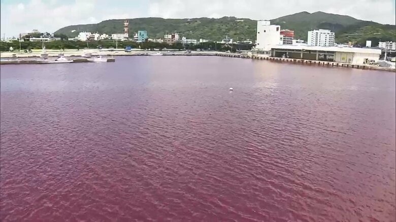 「真っ赤」に染まった沖縄の海　オリオンビール工場から“赤色冷却水”が流出…人体に影響なし｜FNNプライムオンライン
