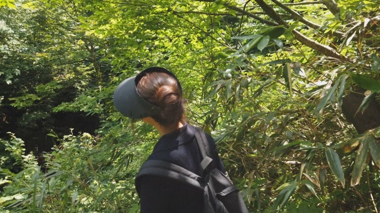 「雨乞いの滝」自体が雨を待つ皮肉　異常な暑さと少雨で落差40mの天に登る龍のような「龍神の滝」が枯渇か｜FNNプライムオンライン
