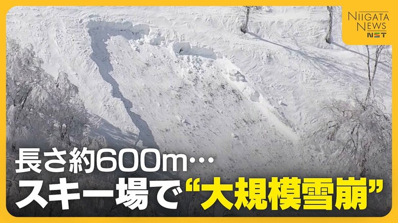 スキー場で“全層雪崩”か…長さ600mに及ぶ大規模雪崩で親子含む4人ケガ　専門家が注意呼びかけ「条件揃っている場所には近づかない」｜FNNプライムオンライン