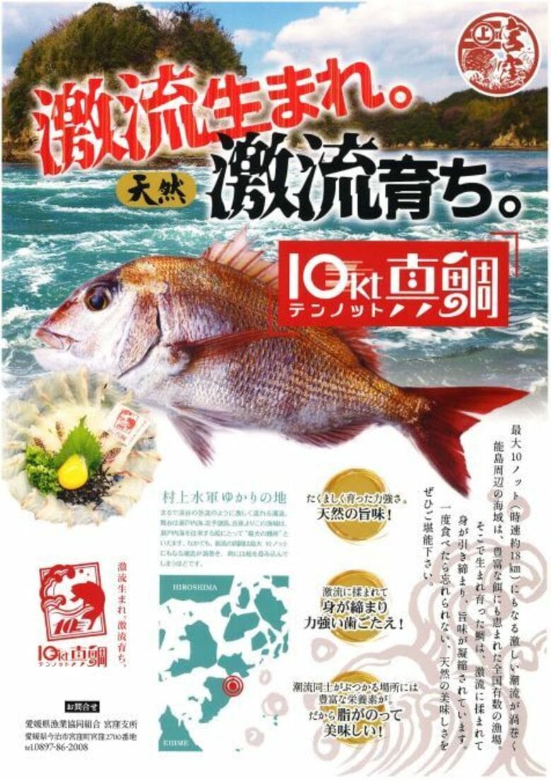 激流育ち「10ノット真鯛」のブランド化！漁師流「宮窪鯛めし」の開発！！逆境に立ち向かう漁師まちの奮闘ストーリー