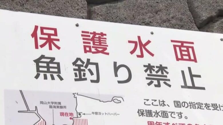 条例違反かも！？夏休みの楽しい魚釣りで“うっかり密漁”に注意　魚の大きさや使用する漁具に制限アリ｜FNNプライムオンライン