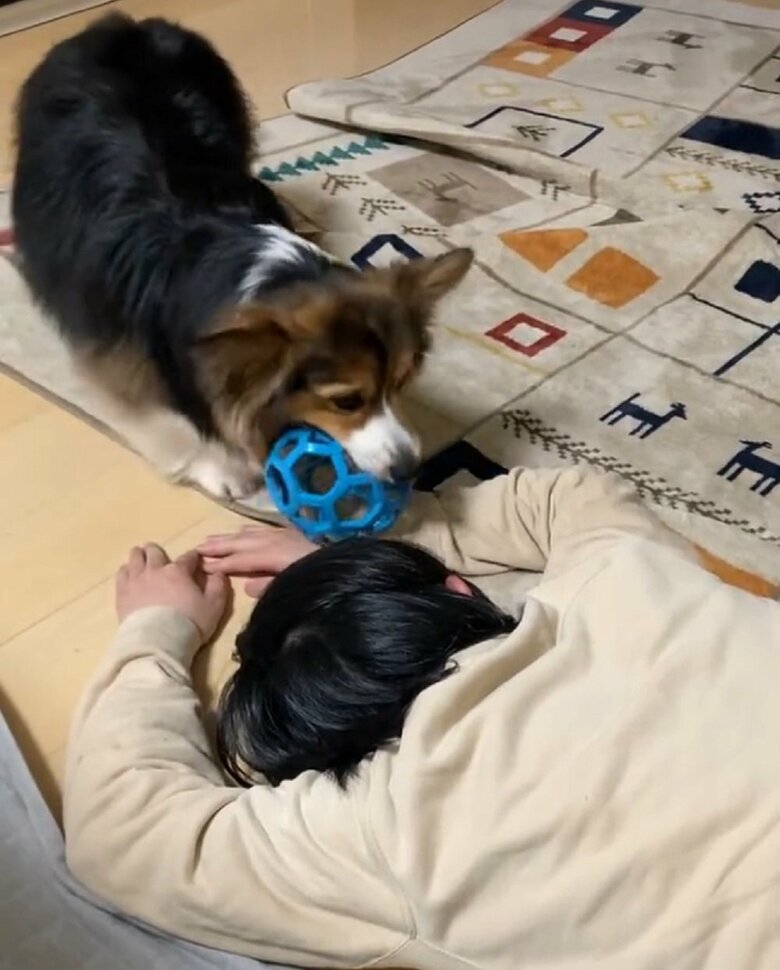 寝ているたいゆうるーくさんの息子さんを遊びに誘っている