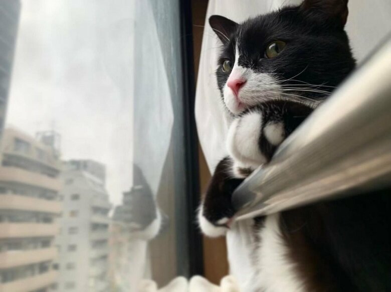 外の景色を堪能中