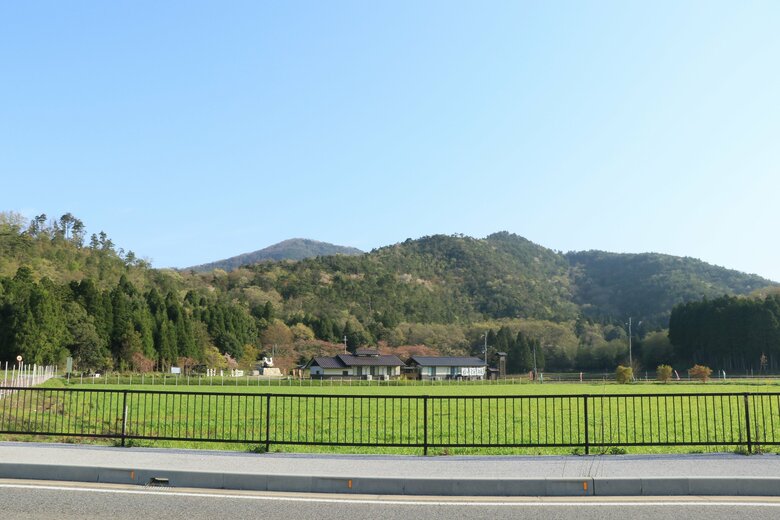 南西麓から眺めた小谷城全景