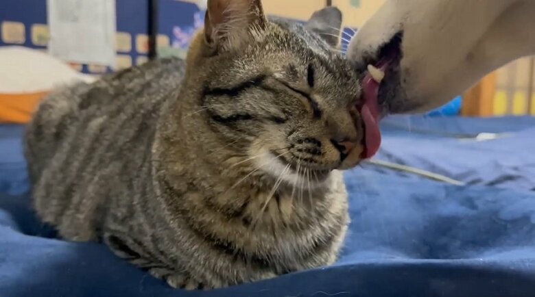 空くんも安心しているように見える