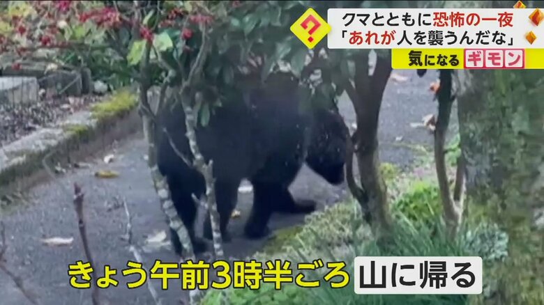 クマは、翌日木から下り、山に帰っていったという