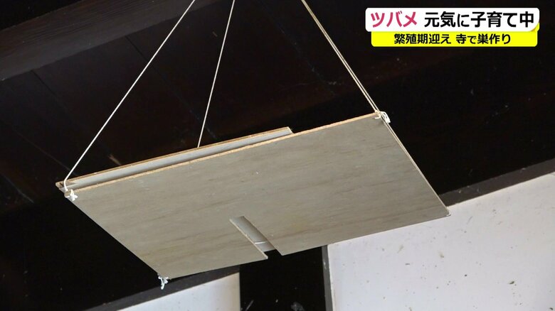 フンよけに設置した板