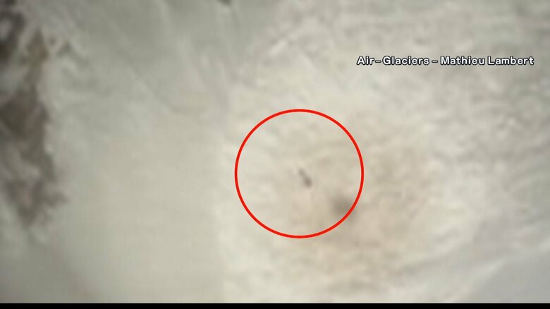 木の枝のようなものが…