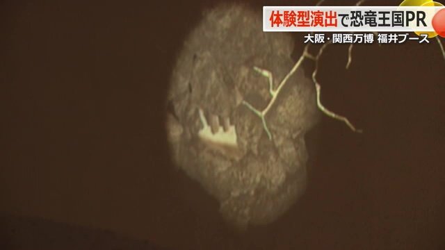 地面が割れて化石が出てくる