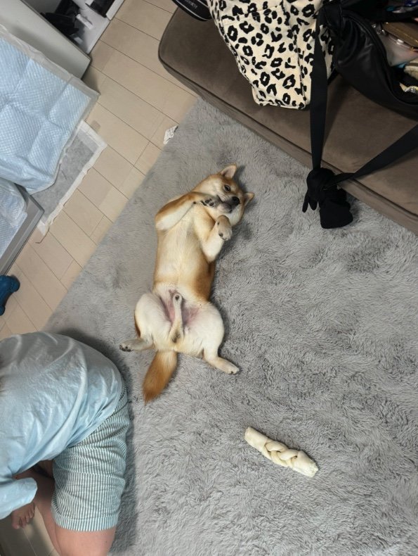 提供：わさび一族さん