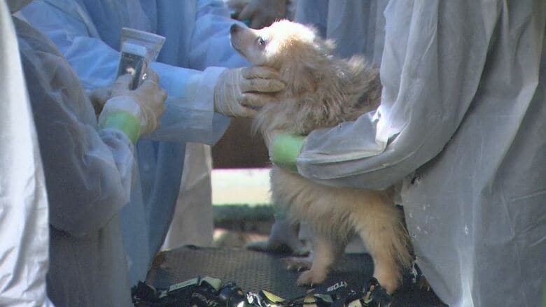 業者への家宅捜索（長野・松本市、2021年9月）