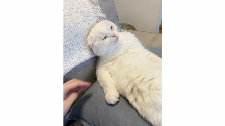 ヘッドマッサージ後のむくくん