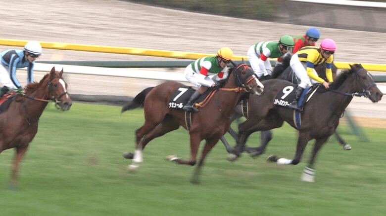 ナミュール（2021年赤松賞）