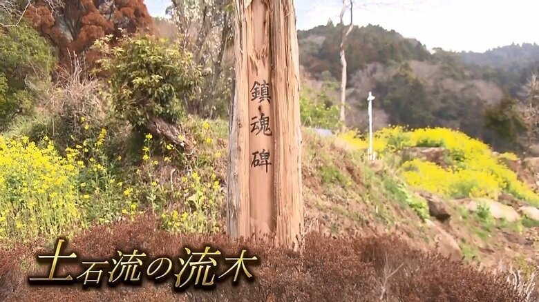 折れた流木でつくられた鎮魂碑