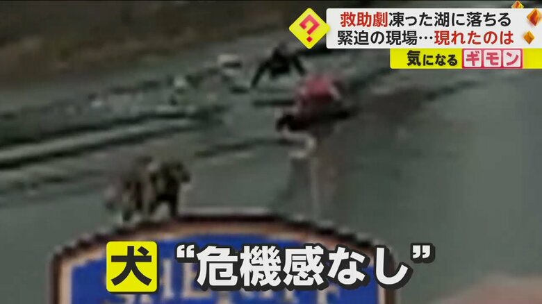 （Anoka County Sheriff's Office）