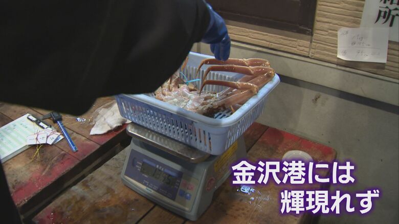 金沢港には輝あがらず