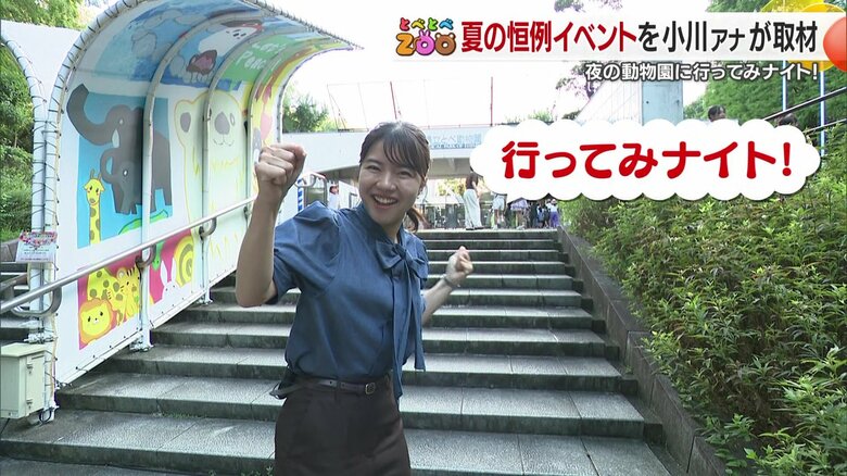 「行ってみナイト～！」