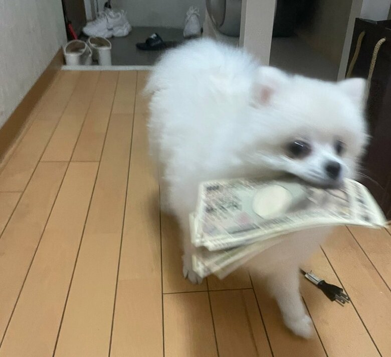 お札をくわえたまま走り去る様子